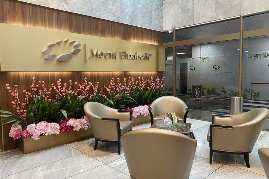 Mount Elizabeth Orchard Lobby