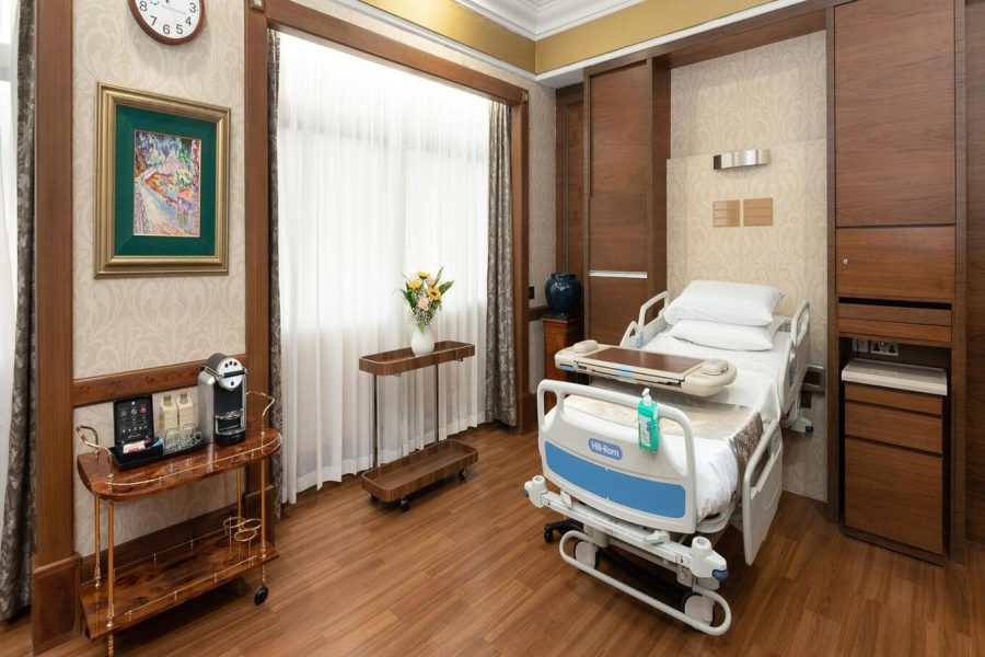 Mount Elizabeth VIP Room (1)