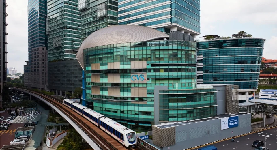 Penampakan Luar Cardiac Vascular Sentral