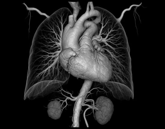 Panduan Lengkap CT Angiografi Dari Prosedur hingga Keunggulannya