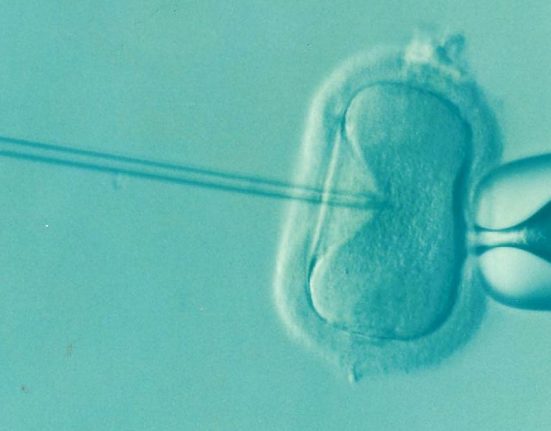 Biaya Program IVF atau Bayi Tabung di Singapura