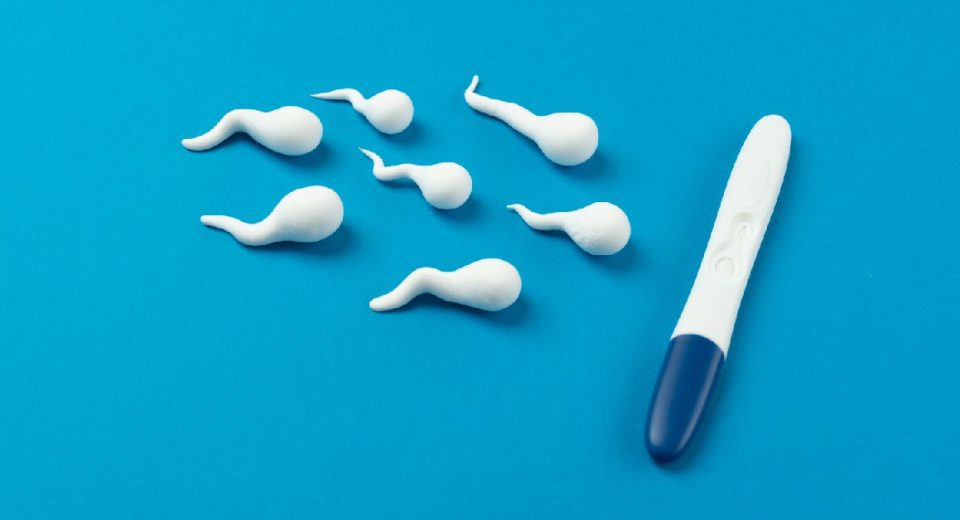 Inseminasi Buatan (IUI) - Apakah Opsi Terbaik untuk Nantikan Buah Hati Anda