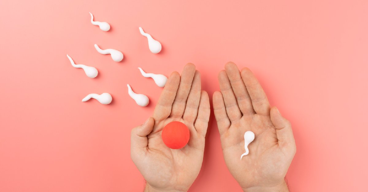 Perbandingan Inseminasi dan Bayi Tabung untuk Penanganan Kesuburan Terbaik