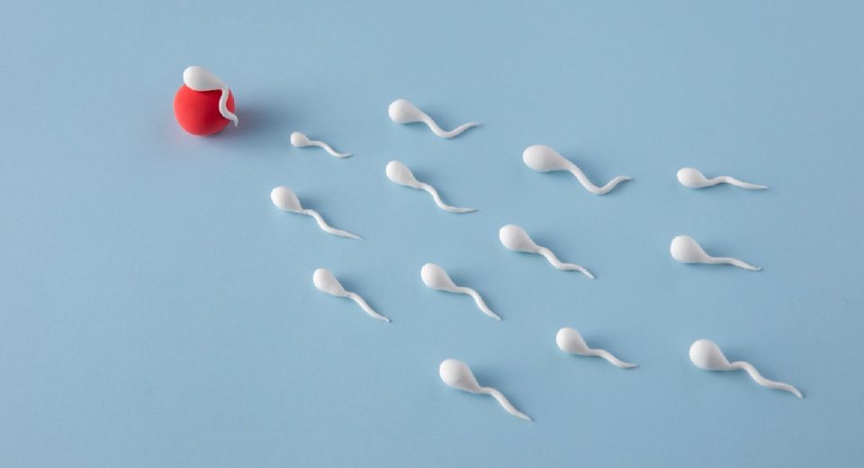 Cara Melakukan Analisis Sperma untuk Kesehatan Seksual Pria