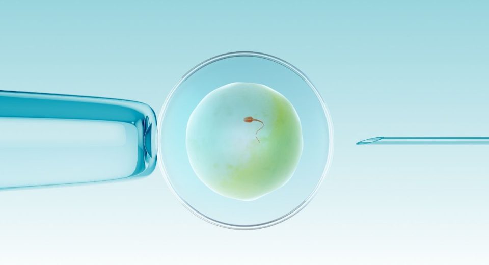Panduan Program Bayi Tabung di Sunway Fertility Centre di Malaysia