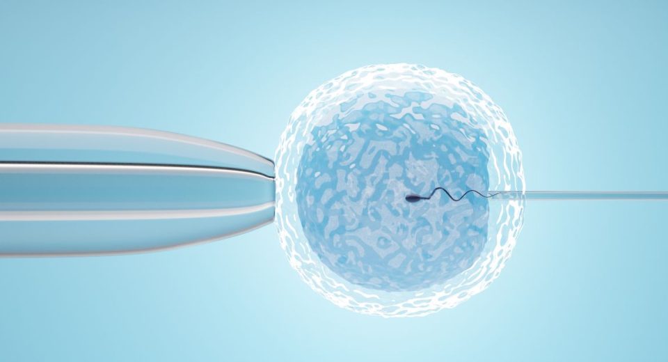 Perbedaan ICSI dan IVF (Bayi Tabung)