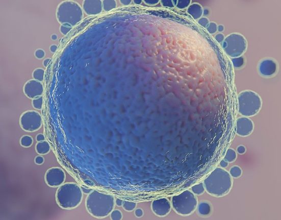 Apakah Pembekuan Sel Telur Meningkatkan Risiko Cacat Lahir Anak