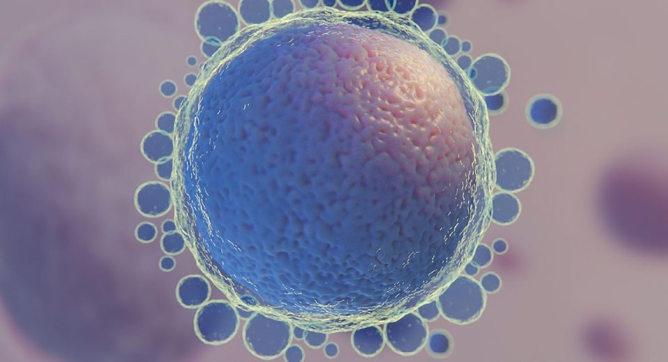 Apakah Pembekuan Sel Telur Meningkatkan Risiko Cacat Lahir Anak