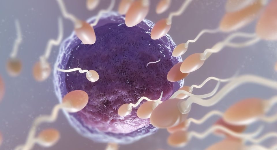 Ini 11 Ciri Sperma yang Sehat dan Subur untuk Percepat Promil