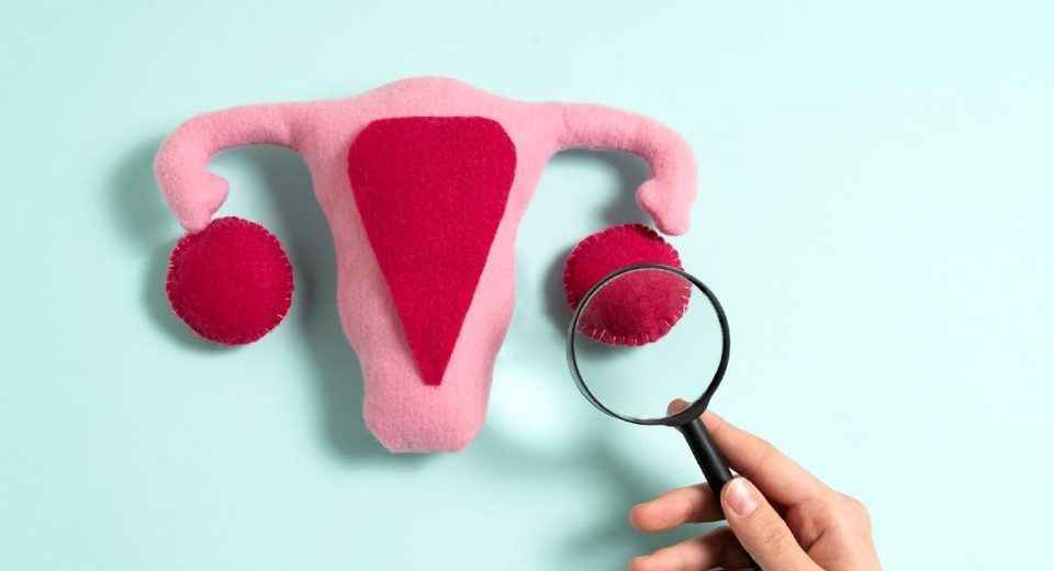Ini Cara Menjaga Kesuburan Wanita yang Paling Efektif