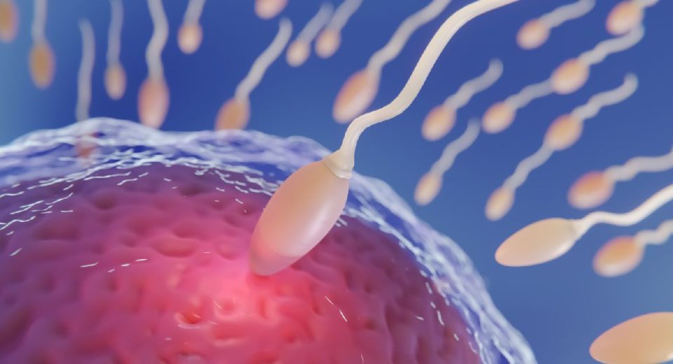 Jenis Kelainan pada Sperma yang Calon Ayah Perlu Tahu