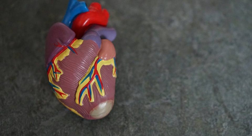 Dokter Jantung Rekanan AIA di Parkway East Medical Centre Singapura