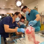 Dr-Daniel-Lee-teaching-at-haemorrhoids-workshop