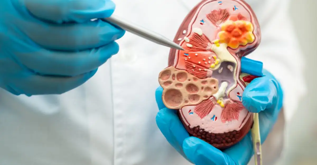 Daftar Dokter Spesialis Urologi Rekanan Prudential di Singapura