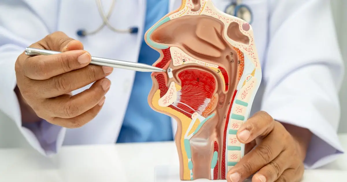 Jenis Operasi Sleep Apnea yang Bisa Dipertimbangkan