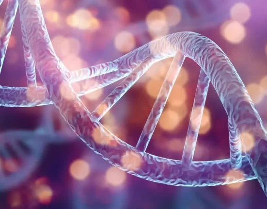 Panduan Terapi Stem Cell untuk Pemulihan dan Pereda Nyeri yang Efektif