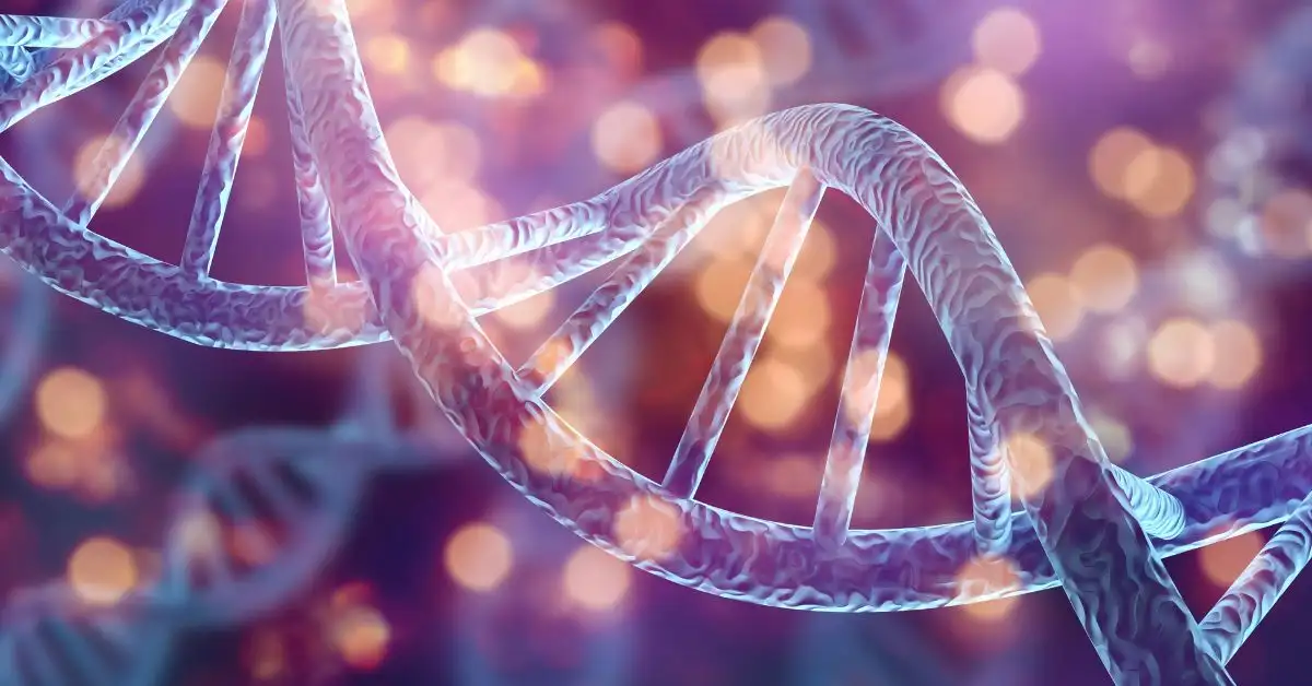 Panduan Terapi Stem Cell untuk Pemulihan dan Pereda Nyeri yang Efektif